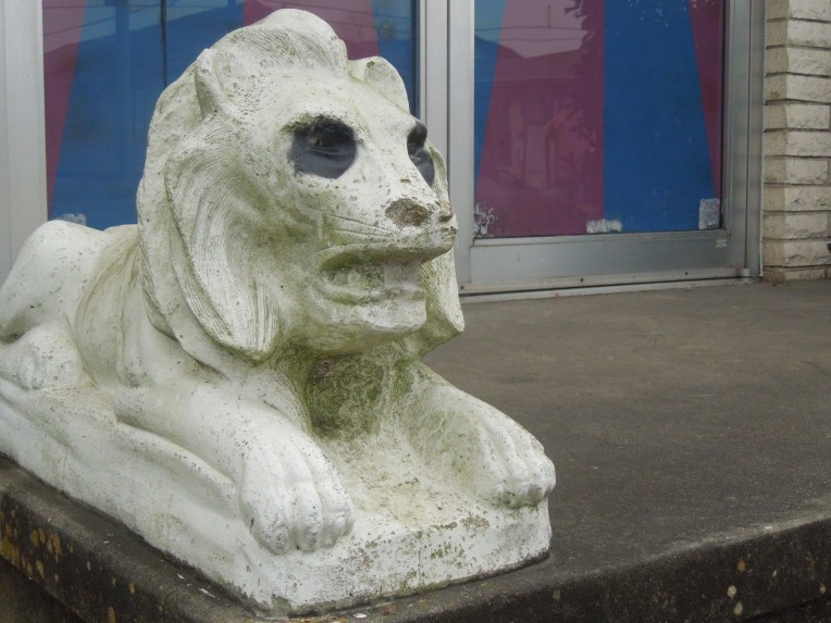 skull lion